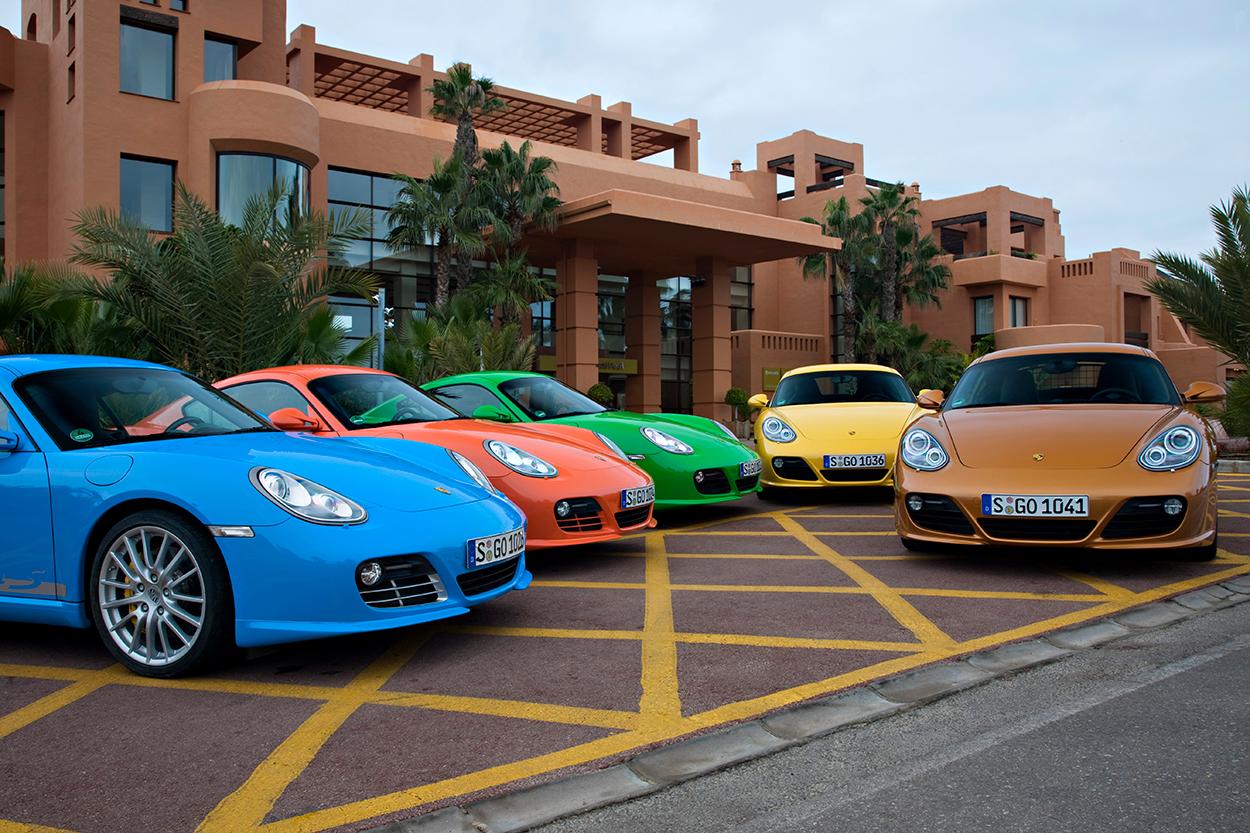 Porsche Cayman (987) オプションイメージ